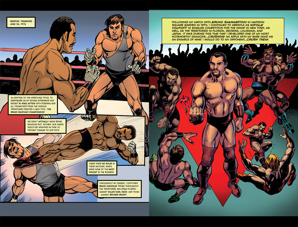 The Comic Book Encyclopedia of Pro Wrestling - Volume 2